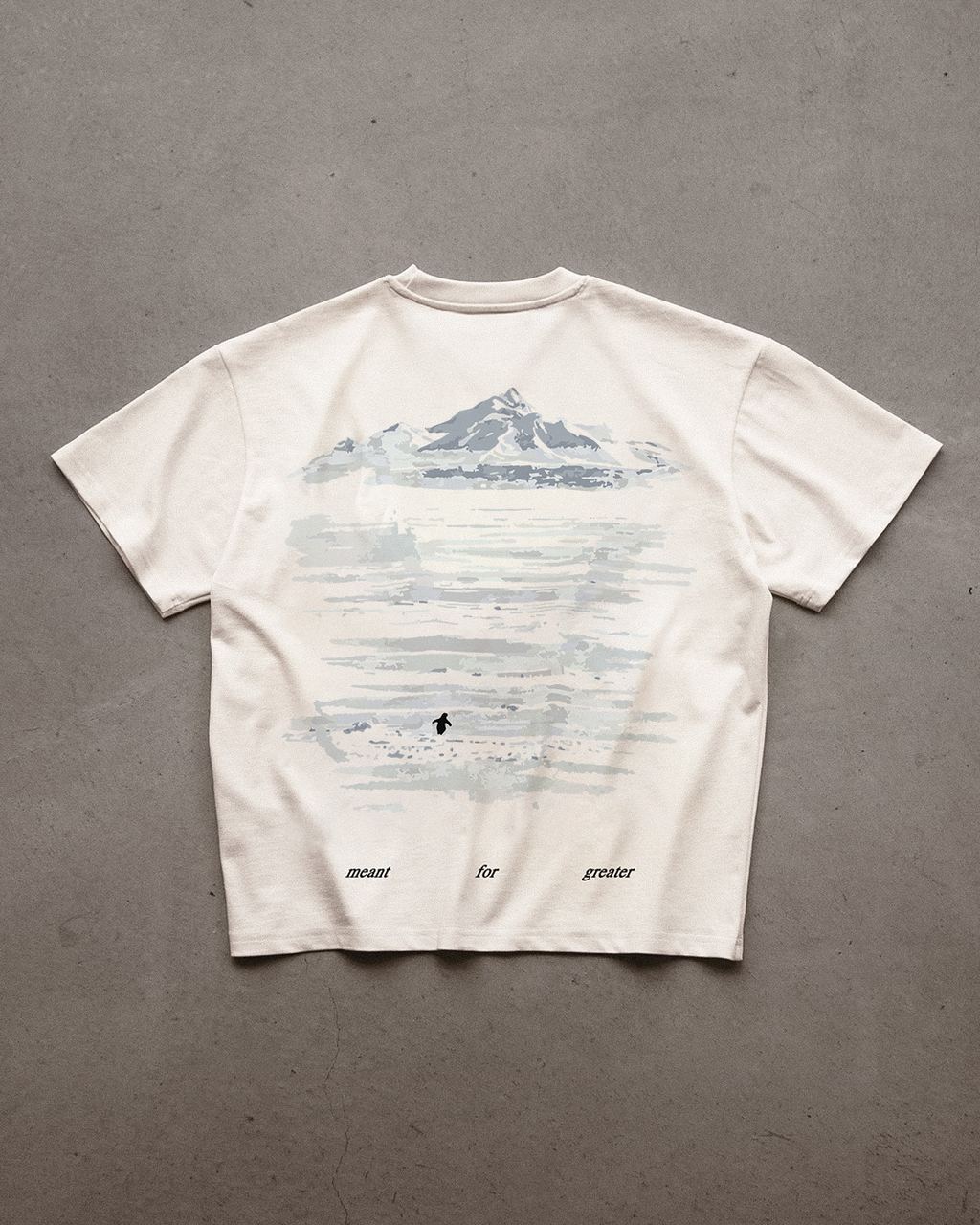 The Penguin Tee oversized T-shirt, front view