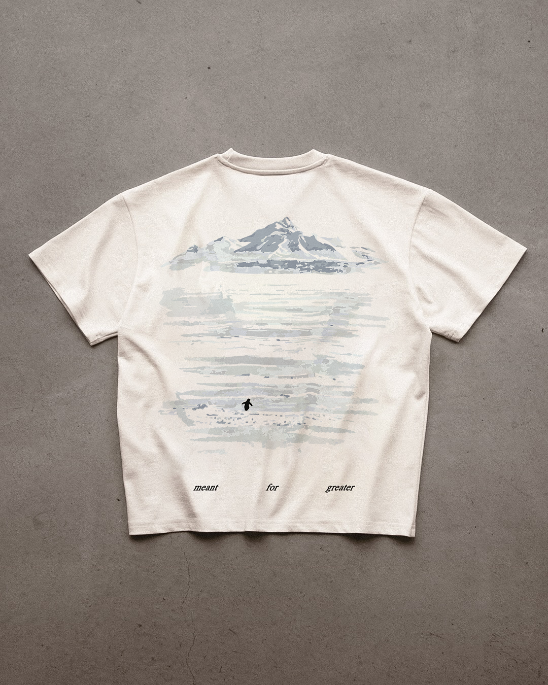 The Penguin Tee oversized T-shirt, front view